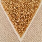 Delica 11/0, Dyed Shell Silk Satin DB1802, 5gms