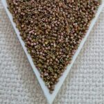 Delica 11/0, Opaque Olive Gold Luster DB0133, 5gms