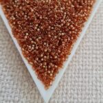 Delica 11/0, Apricot Topaz Gold Luster DB0121, 5gms