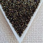 Delica 11/0, Brown Iris DB0007, 5gms