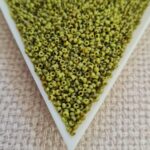 Seed bead 15/0, Picasso Opaque Chartreuse, color 4515, 5gms